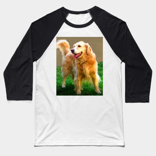 Golden Retriever Happy Dog Baseball T-Shirt by CarloVaro